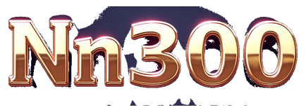 n300 logo